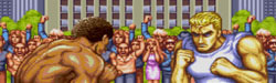 Final Fight/Street Fighter II: