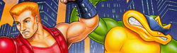 Story Breakdown: Battletoads & Double Dragon